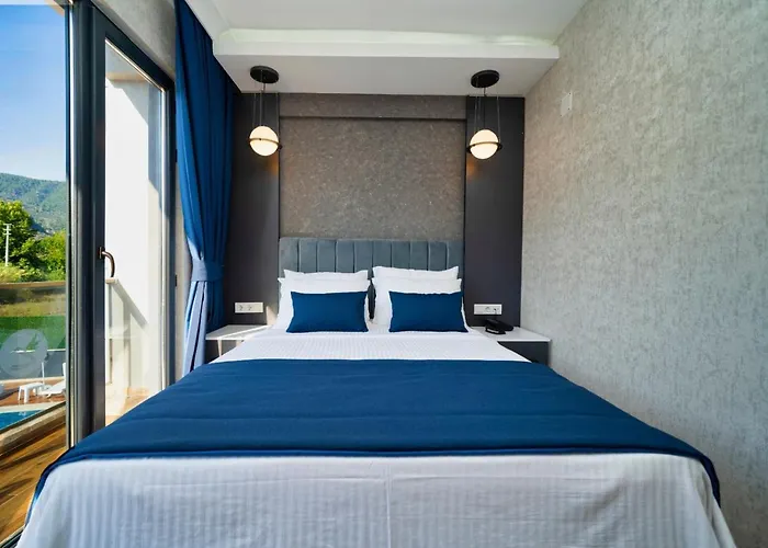 Hotel The Halcyon 2*